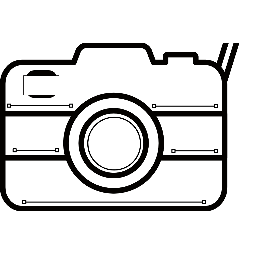 Camera Icon